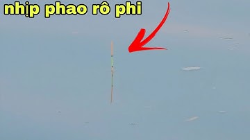 Câu đài tự nhiên cần câu 3m6 nước sâu 3m cá rô kéo đã tay luôn | câu cá tự nhiên 