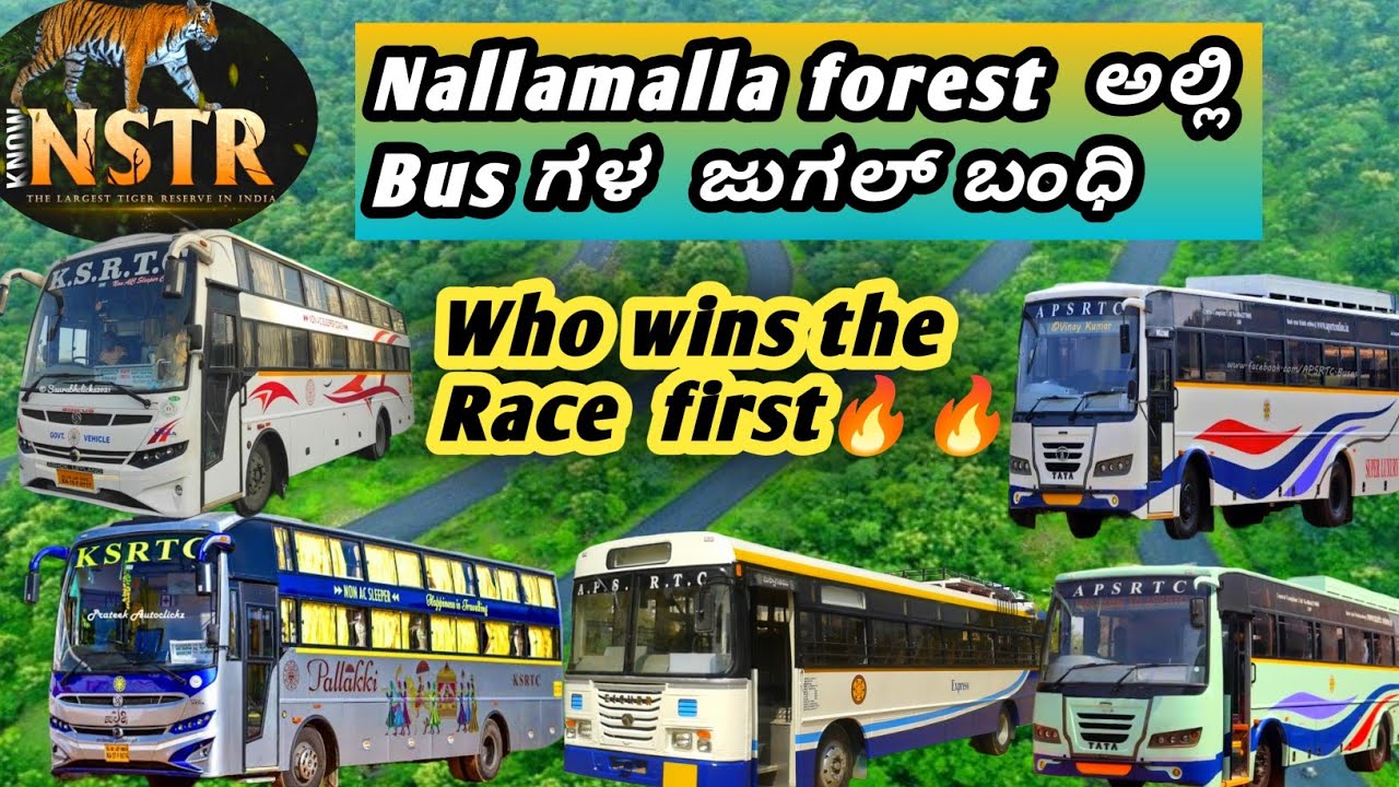 ನಮ್ಮ KSRTC vs APSRTC and other Travels, Thrilling journey with beautiful nature and forest.