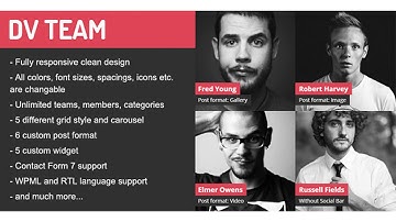 DV Team Responsive Team Showcase Wordpress Plugin | Codecanyon Scripts and Snippets