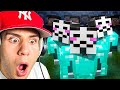 LI HO SMASCHERATI: LA RESA DEI CONTI CONTRO IL CLAN PIÙ PERICOLOSO DI MINECRAFT!