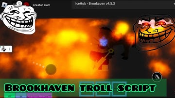 hydrogen fluxus Arceus X script Brookhaven script OP Script Fe Brookhaven script GUI