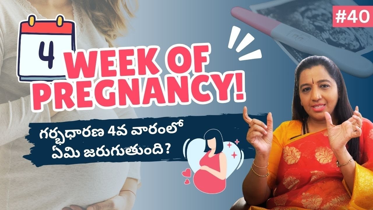 What to Expect in Week 4 of Pregnancy? | గర్భధారణ 4వ వారంలో ఏమి జరుగుతుంది? | Mamata Fertility