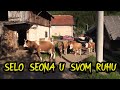 SELO SEONA U SVOM RUHU  (U POSJETI ROSTOVU)