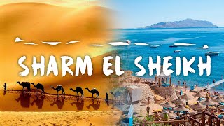 Египет | Шарм-эль-Шейх | Тревел Видео