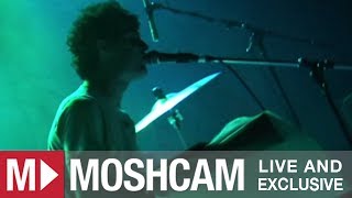 Animal Collective - Also Frightened | Live in Sydney | Moshcam