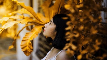 Autumn Effect Two Minutes Process Editing-Photoshop Tutorial-Tech perfect