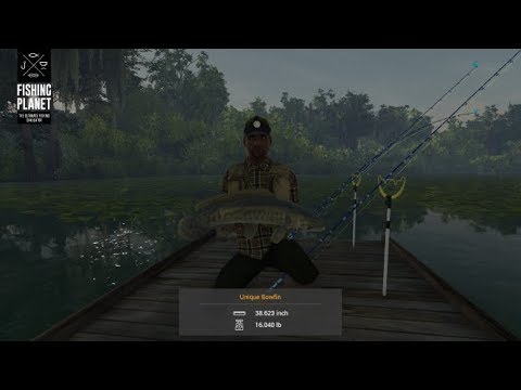 fishing planet bowfin florida