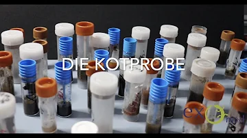 Wie nehme ich eine Kotprobe beim Hund?