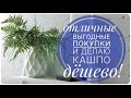 ✔️ФИКС ПРАЙС и СВЕТОФОР бюджетные ящики за 50 рублей! Делаю кашпо за 1 минуту ПОКУПКИ