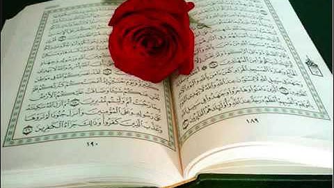 سورة المعارج حمد سنان