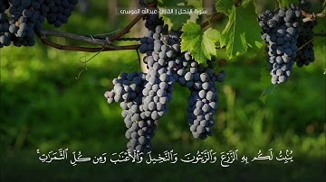 ﴿وإن تعدوا نعمة الله لا تحصوها﴾ تلاوة من سورة النحل للقارئ عبدالله الموسى