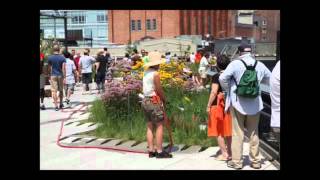 "High Line: The Inside Story of New York City's Park in the Sky" - Richard Hammond