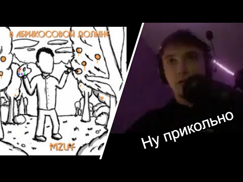 Серега Пират слушает в абрикосовой долине / mzlff