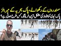 Training of pak navy commandos  guardians of coasts  defence day special  public news
