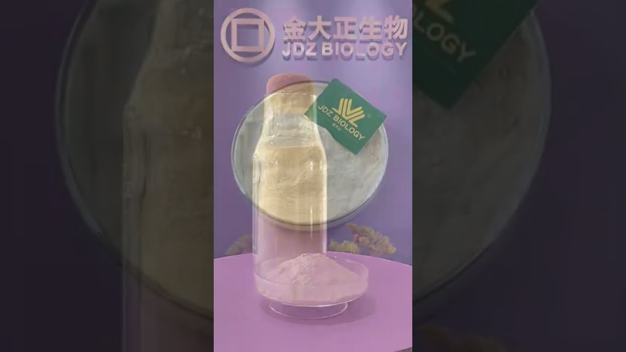 Probiotics powder Bacillus coagulans Factory Supply