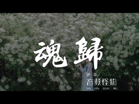 魂歸 - 音頻怪物『誓同生死未曾辜負』【動態歌詞Lyrics】