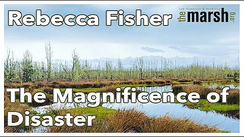 Rebecca Fisher |  The Magnificence of Disaster