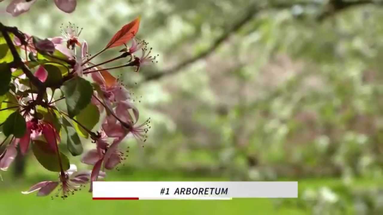 Top Five Campus Gardens