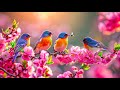 Harmonious piano melodies for a bright day uplifting music to boost your mood