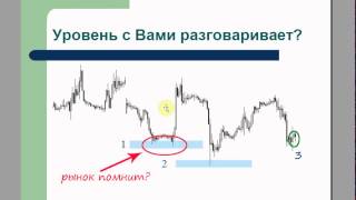 Ценовой уровень - что такое ценовой уровень на Форекс