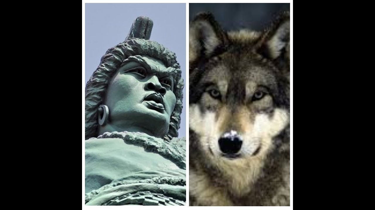 волчья воля или выбор. волчья воля или выбор. волчья воля или выбор. закон волков цитаты. волчья воля или выбор наследника короны.