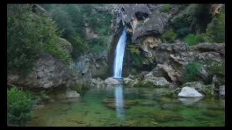 تلاوه من عالم آخر ستنسيك هموم الدنيا-القارئ عبد الرحمن مسعد