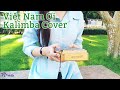 Việt Nam Ơi • Kalimba Cover