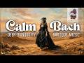 Calm Bach For Deep Tranquillity Pure Baroque Music For Focus Brain Power 