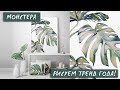 РИСУЕМ МОНСТЕРУ / ТРОПИЧЕСКИЕ ЛИСТЬЯ / АКВАРЕЛЬ