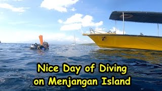 Nice day of Diving on menjangan island