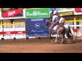 Estrellas Equinas 2013. Caballo Pura Raza Española