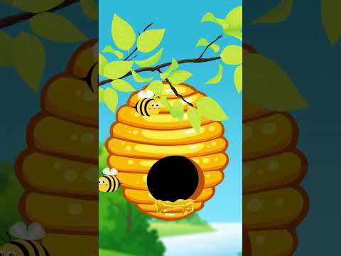 Video: Mitä arvoinen mehiläiskuningatar on adoptoida minut?