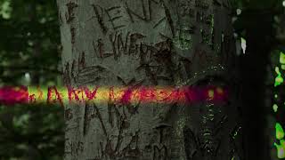Glitch Test In LumaFusion