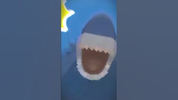 Những điều (độclạ) trong bản cập nhật Mini World đại dương