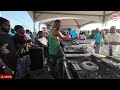 HIGH TENSION,KING HARMONY,BLAQUE DIAMOND,LITTLE SAMPLE,DYNAMITE,MARK MOVEMENTS,STAR SQUAD,KRAZY DAWG