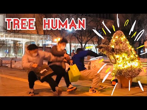 Out-of-season Christmas Tree Prank Japanese Reactions 2022 March \u0026 April