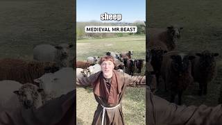 Medieval Mr.Beast
