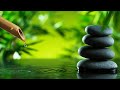 Relaxing music relieves stress anxiety and depression  heals the mind body and soul