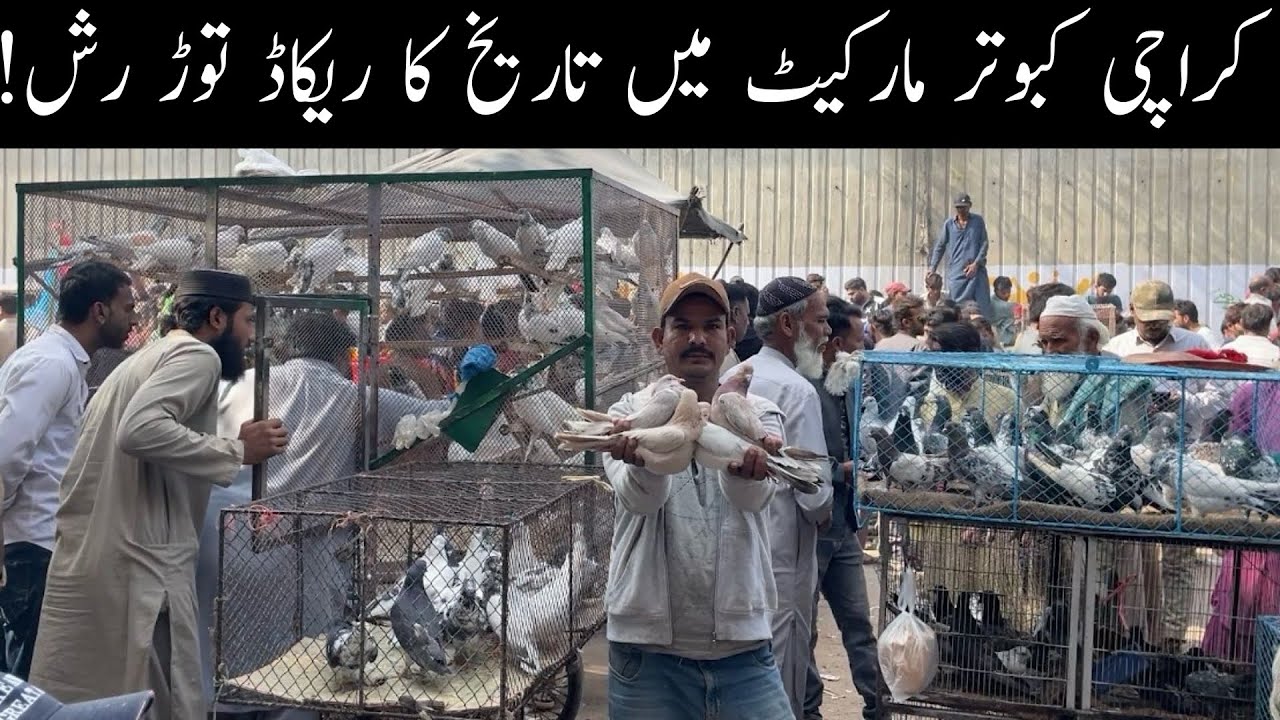 Kabootar Market Lalukhet Sunday Video Latest Update 14-12-2025 in Urdu/Hindi