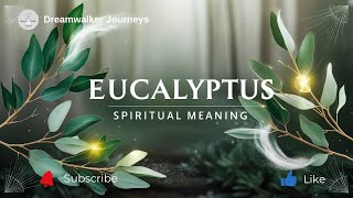 Spiritual Meaning of Eucalyptus | Cleansing, Healing & Protection Symbolism