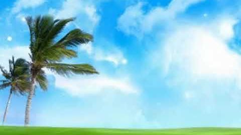 القارئ احمد الحنيطي..الاردن