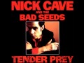 Nick cave and the bad seeds  deanna