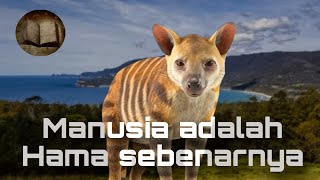 Sungguh tragis!!! Inilah kisah memilukan harimau Tasmania sebelum dinyatakan punah 