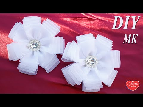 Video: G'ayrioddiy Organza Kelebek