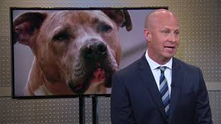 PetIQ CEO: Pet Humanization Trends | Mad Money | CNBC