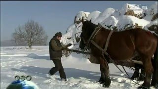 La natura della Polonia  Polonia selvaggia