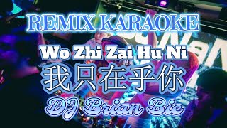Remix Karaoke || No Vocal || Wo Zhi Zai Hu Ni - 我只在乎你 || By Dj Brian Bie