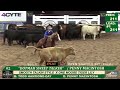 Dotmah sweet talker penny macintosh open snaffle bit champions ncha au futurity 2024