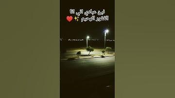 نبئ عبادي اني انا الغفور الرحيم #هزاع_البلوشي #القرآن_الكريم #القارئ #قرآن #سورة_الحجر#explore #like