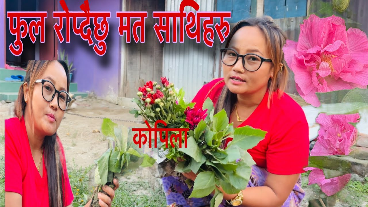 आज घर सफाई अनि फुल रोपाई गरियो! 